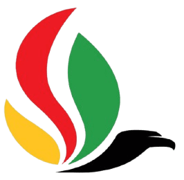 Falcon_Energies-removebg-preview